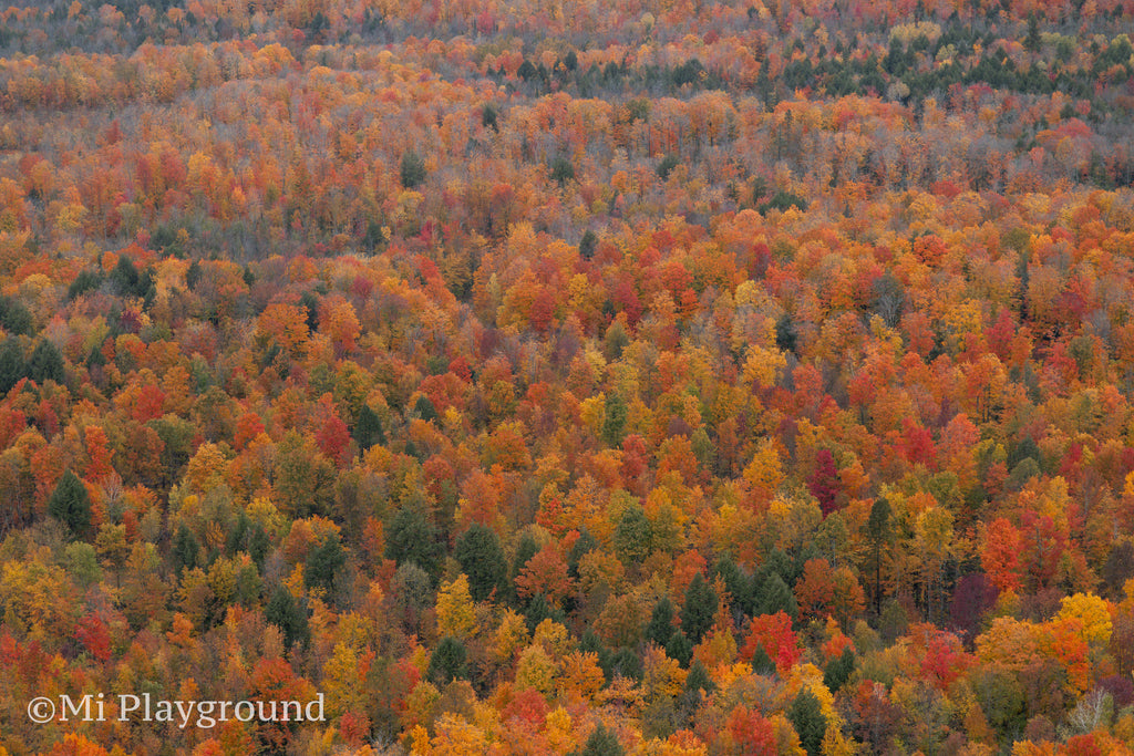 Upper Peninsula of Michigan in Fall Color