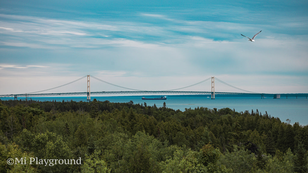 The Lee A Tregurtha Passing Under the Mackinac Bridge