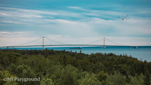 The Lee A Tregurtha Passing Under the Mackinac Bridge